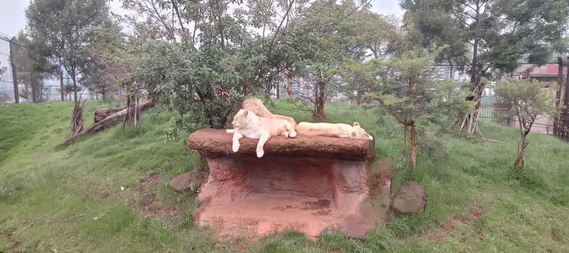 Addis Ababa Private Tour - 