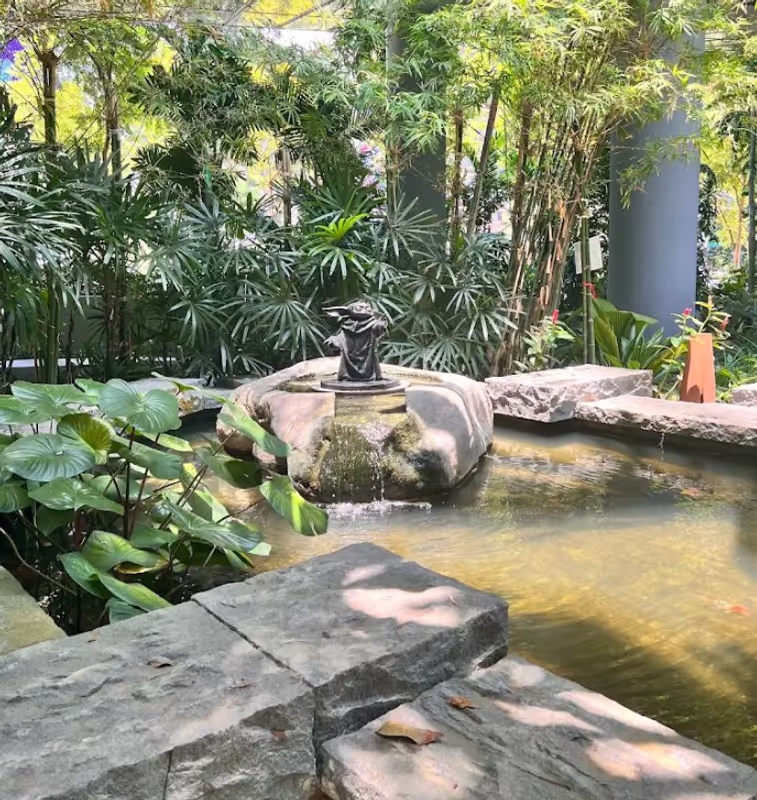Singapore Private Tour - Yoda in the City