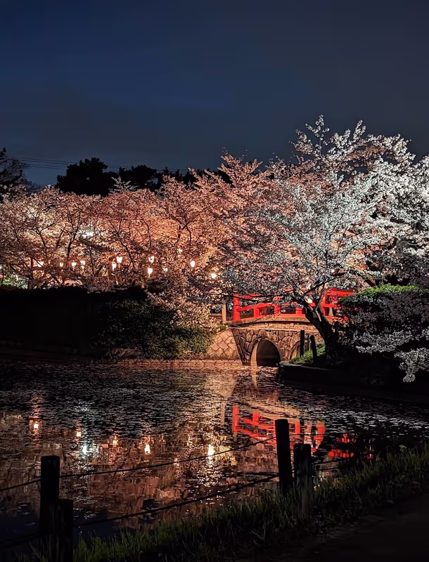 Nagoya Private Tour - 