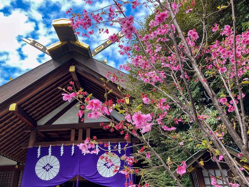 Kanagawa Private Tour - Tokyo Daijingu Shrine (Famous for Love & Matchmaki