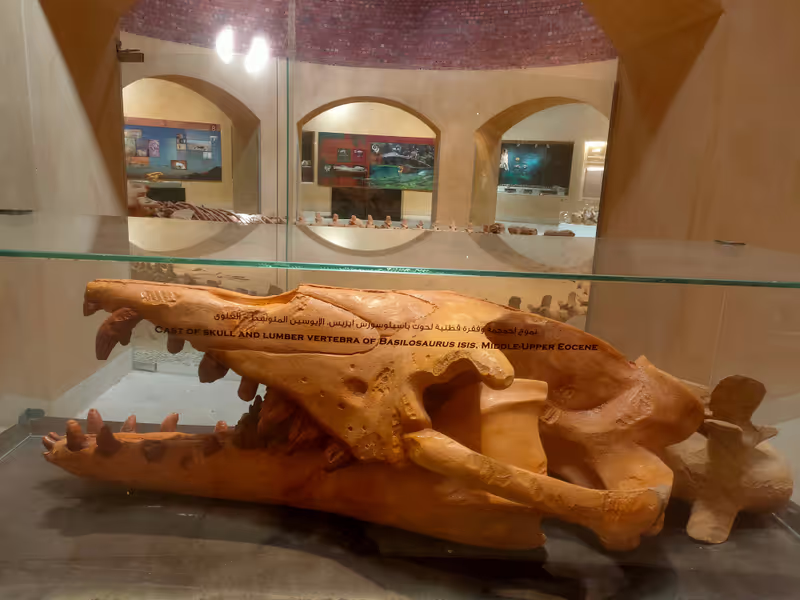 Minya Private Tour - 