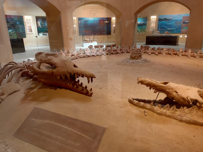 Minya Private Tour - 