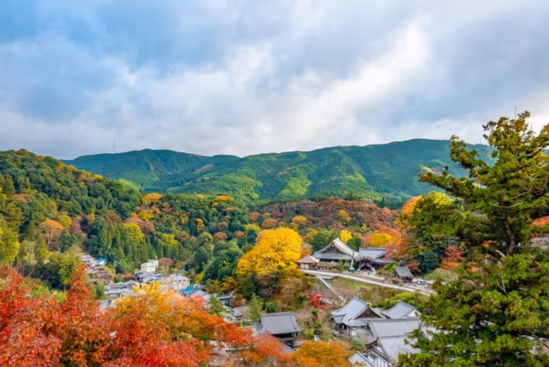 Nara Private Tour - Autumn Foliage at Hasedera Temple