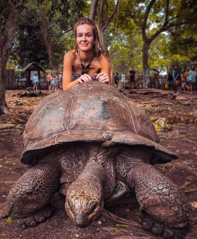 Zanzibar Private Tour - 