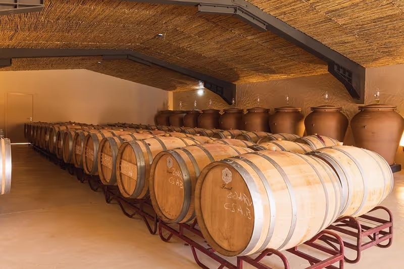 Lagos Private Tour - 