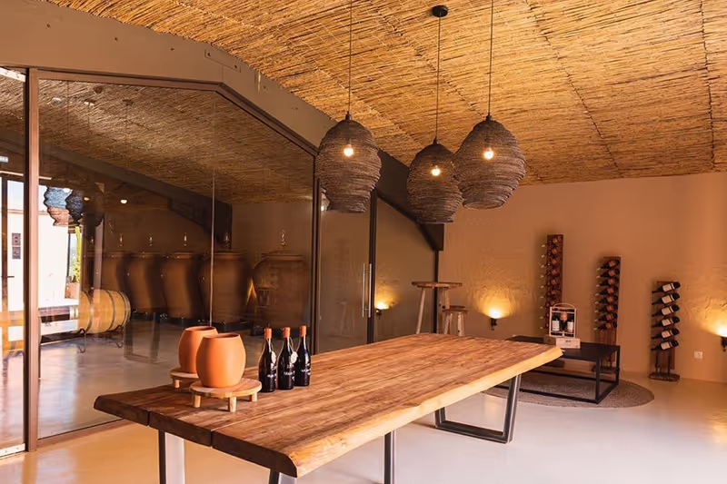 Lagos Private Tour - 