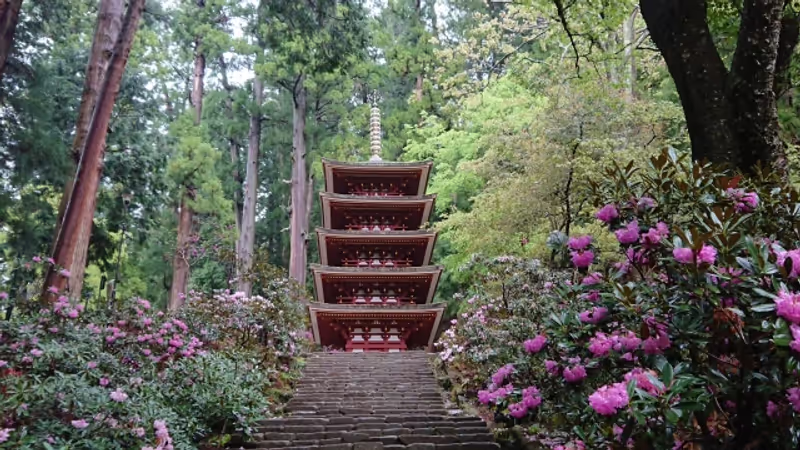 Nara Private Tour - The Five-Story Pagoda and Rhododendrons at Murouji