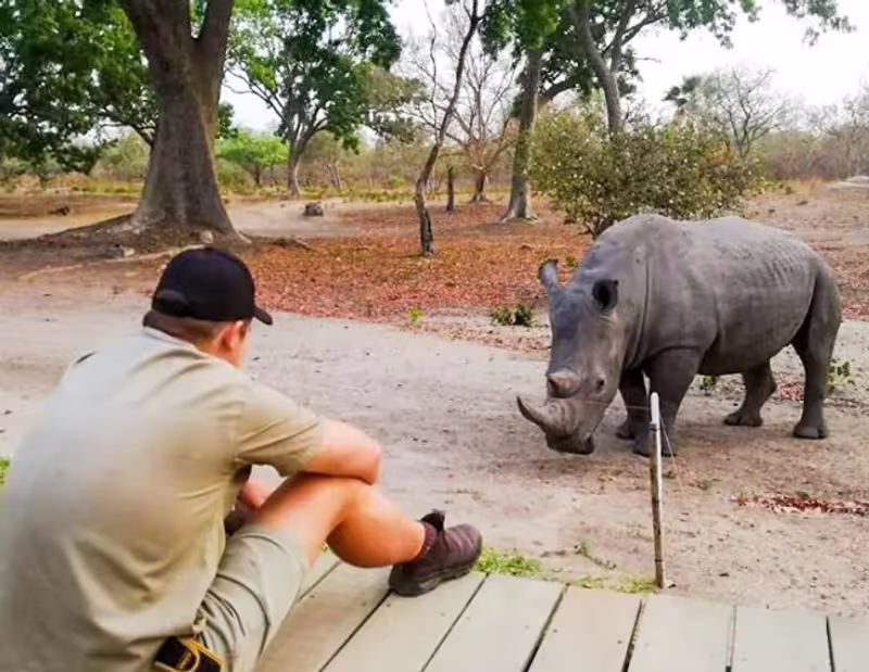 Dakar Private Tour - Close encounter with a rhinoceros