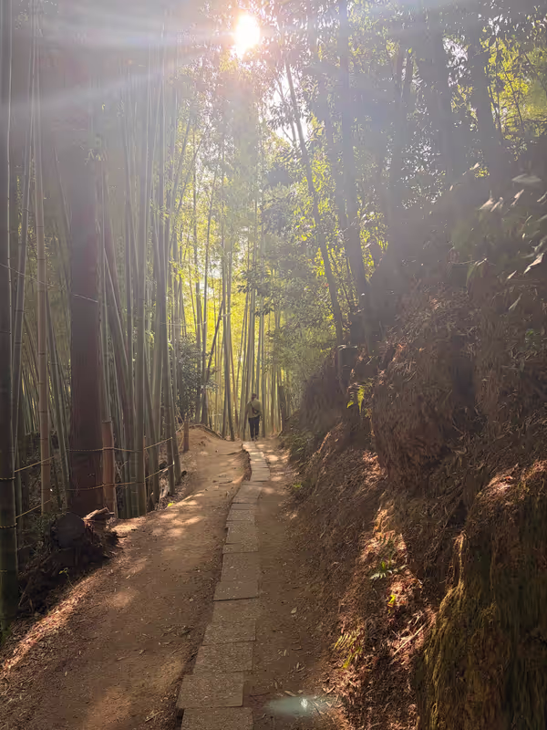 Kyoto Private Tour - 