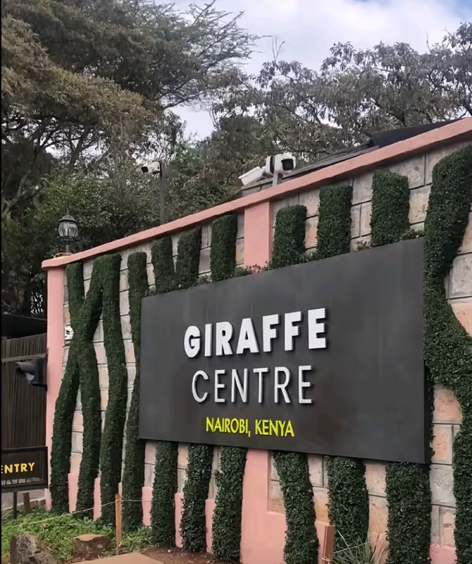 Nairobi Private Tour - 