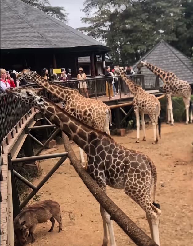 Nairobi Private Tour - 