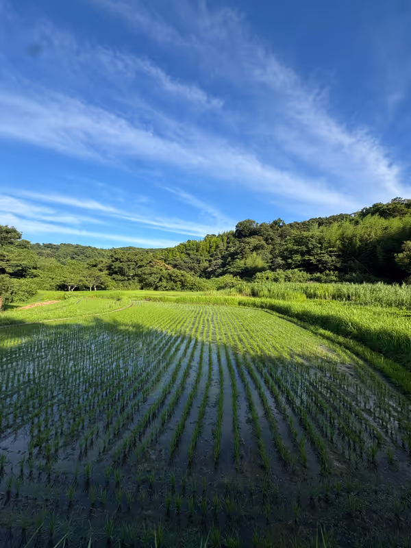 Kanagawa Private Tour - 