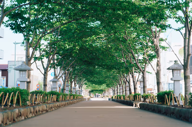 Kamakura Private Tour - Dankazura
