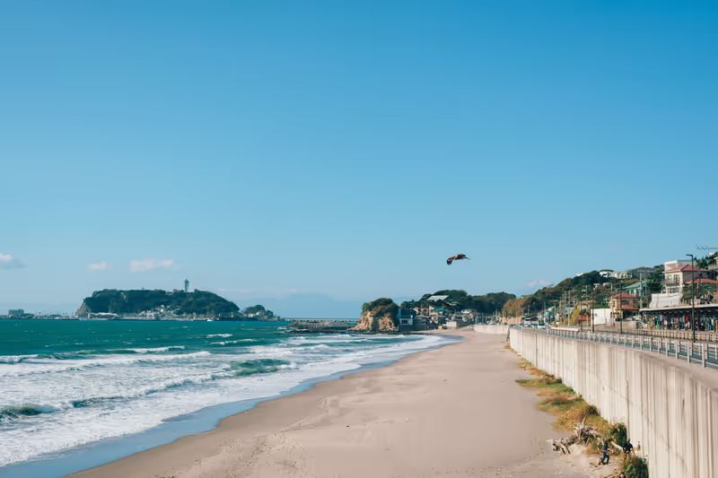 Kamakura Private Tour - Beach in front of Kamakura Kokomae