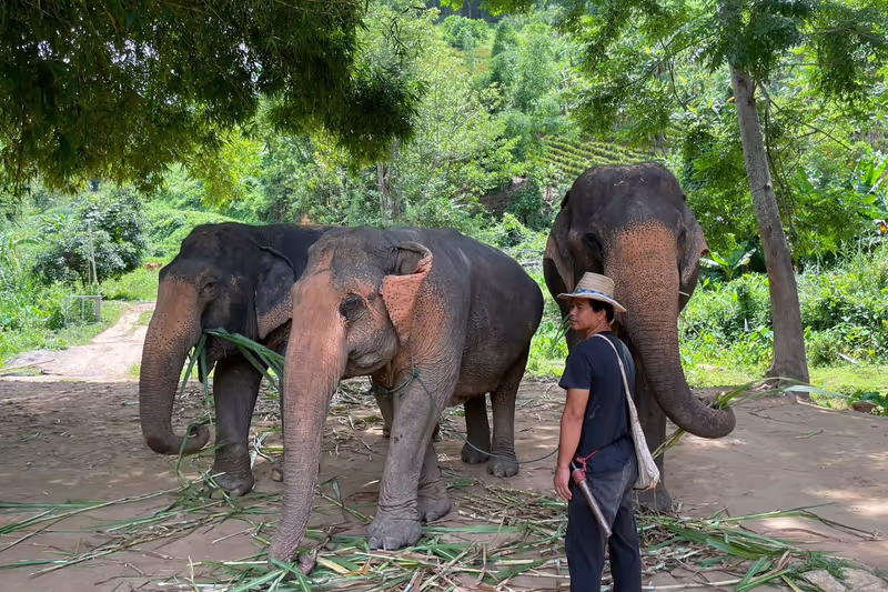 Chiang Rai Private Tour - 