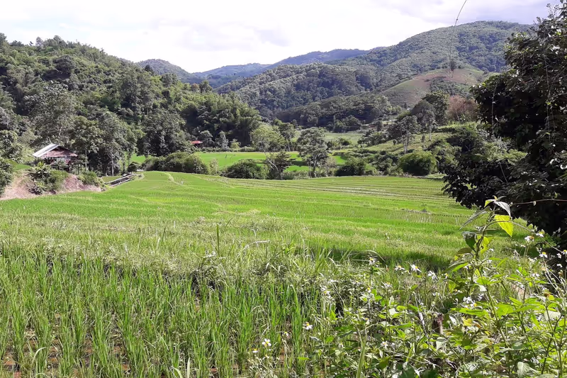 Chiang Rai Private Tour - 