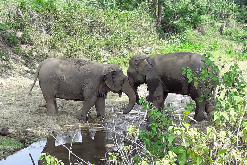 Chiang Rai Private Tour - 