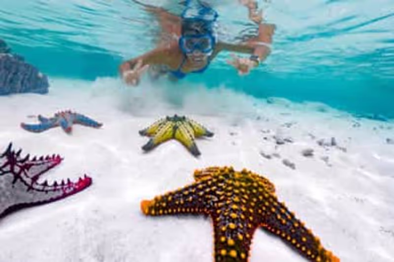 Zanzibar Private Tour - 