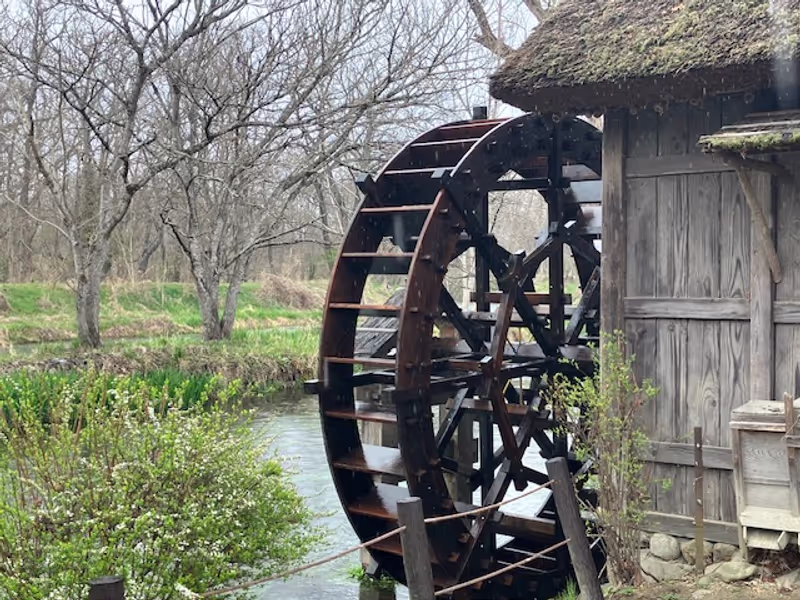 Nagano Private Tour - Iconic Waterwheel in Daio Wasabi Farm