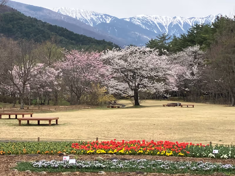 Nagano Private Tour - Garden of Alps Azumino National Government Park