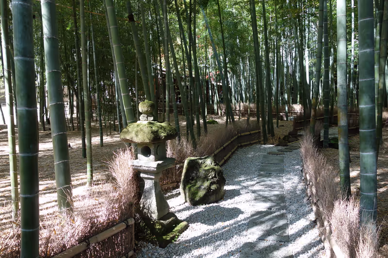 Kamakura Private Tour - Jolie bambouseraie au temple zen "Hokokuji"