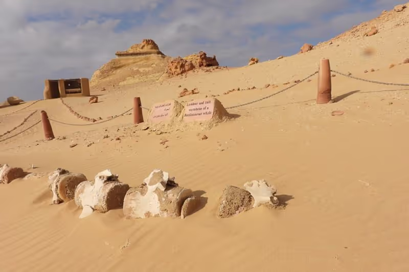 Cairo Private Tour - 