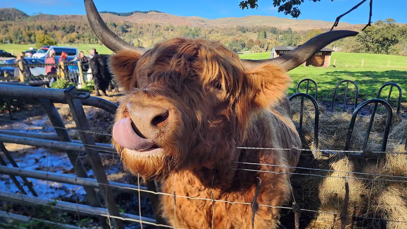 Edinburgh Private Tour - 