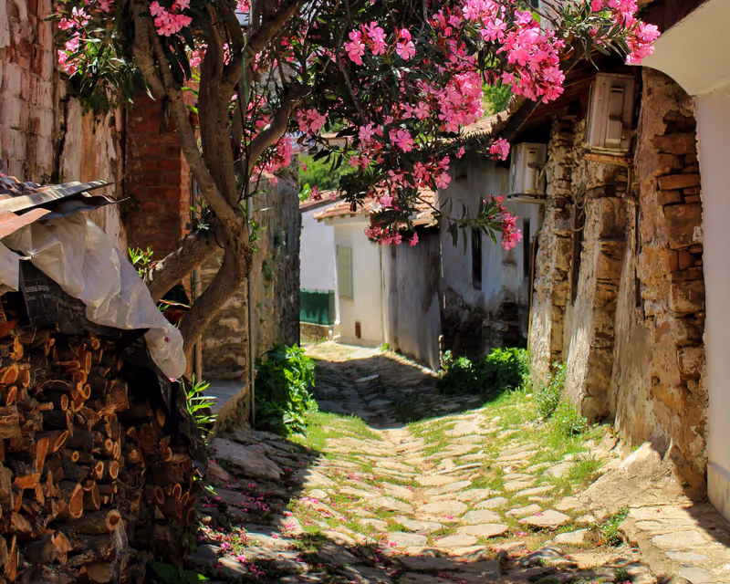 Bodrum Private Tour - Etrim Village Cultural Experience
