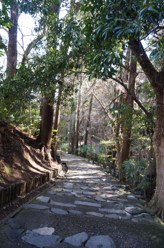 Chiba Private Tour - 
