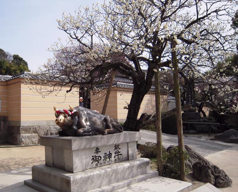 Fukuoka Private Tour - Touch the head of this cow, see what will happen to you