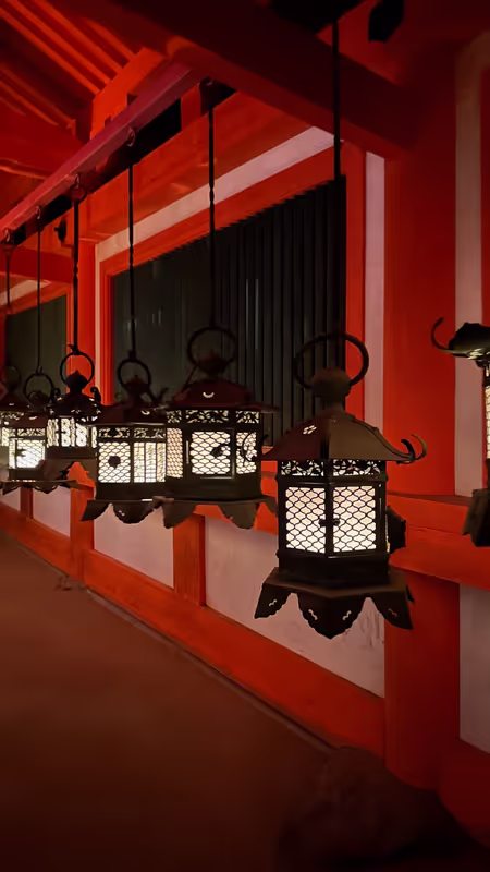 Nara Private Tour - Kasuga Taisha