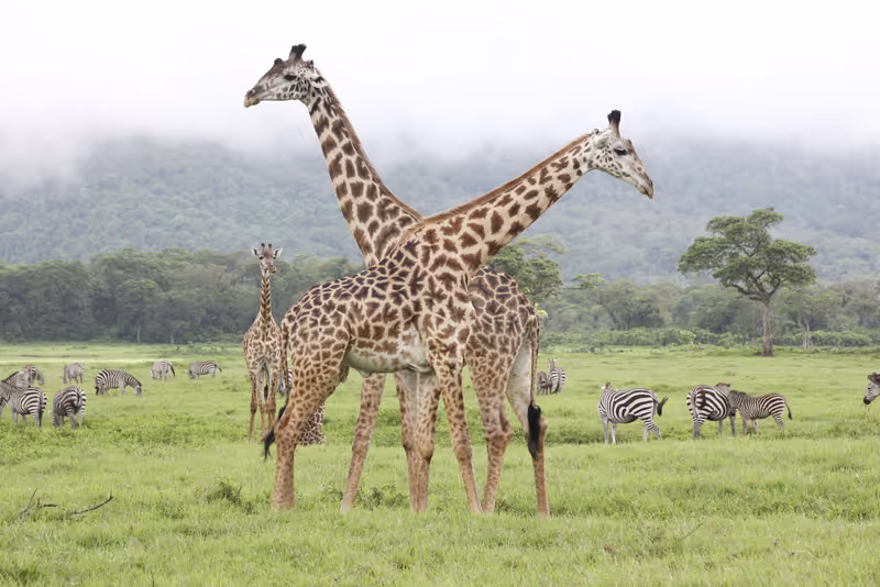 Arusha Private Tour - 