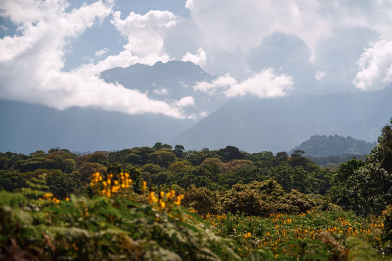 Arusha Private Tour - 