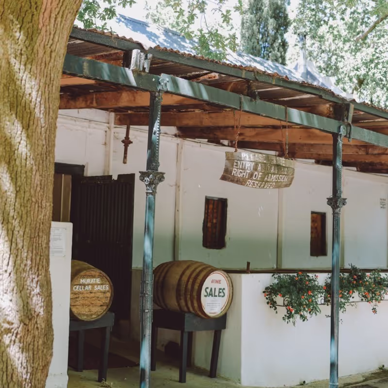 Cape Town Private Tour - Muratie