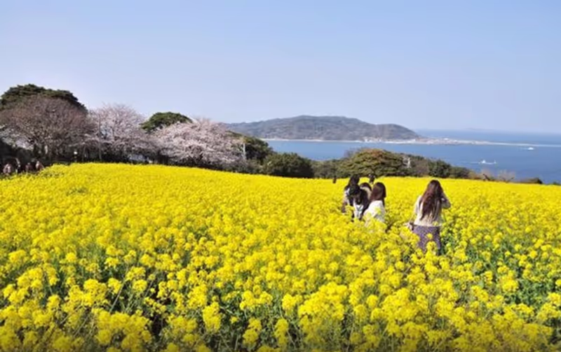 Fukuoka Private Tour - 
