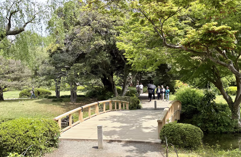 Tokyo Private Tour - Shinjuku Gyoen Park