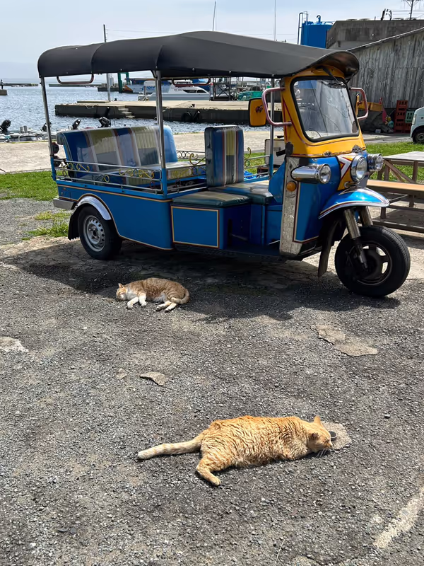 Fukuoka Private Tour - 