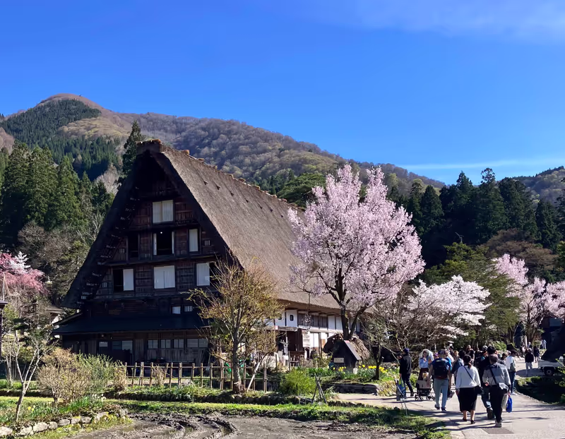 Shirakawago Private Tour - Shirakawa go Spring