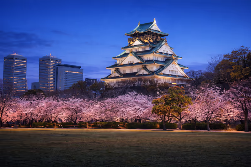 Osaka Private Tour - 