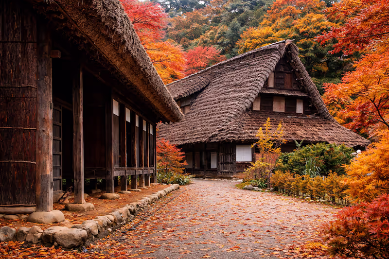 Osaka Private Tour - 