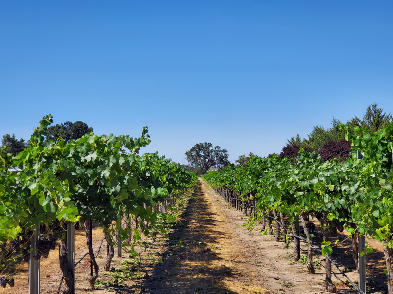 Santa Barbara Private Tour - 