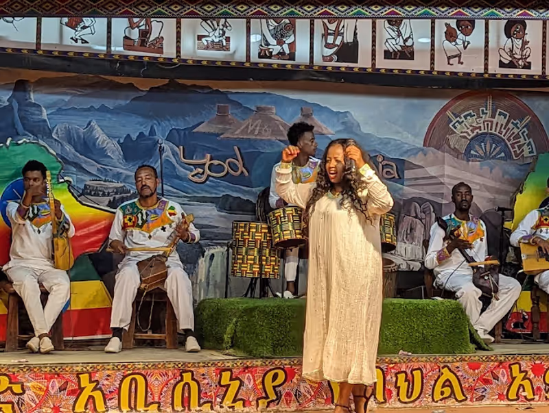 Addis Ababa Private Tour - live cultural music performance