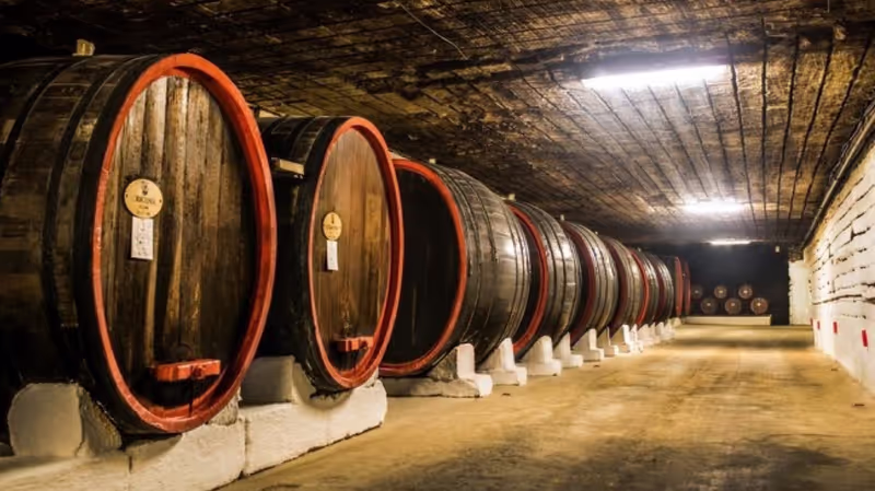 Orhei Private Tour - Cricova - the Underground Kigdom of Wine