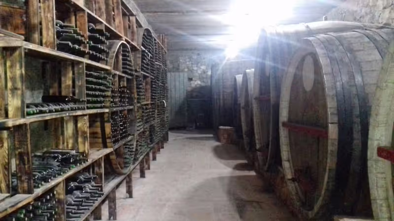 Yerevan Private Tour - Areni wine factory