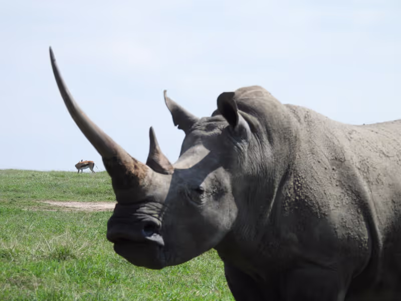 Nairobi Private Tour - 