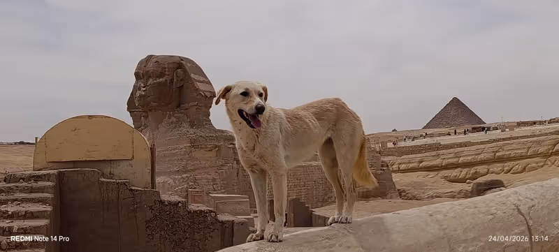 Giza Private Tour - The Sphinx