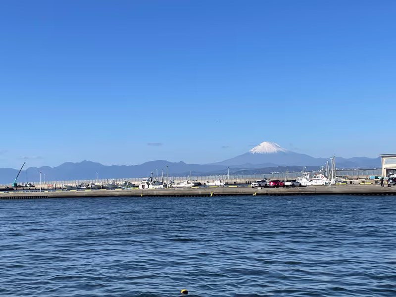 Kamakura Private Tour - A breathtaking view of Mt Fuji from Benten Bridge