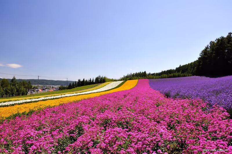 Hokkaido Private Tour - 