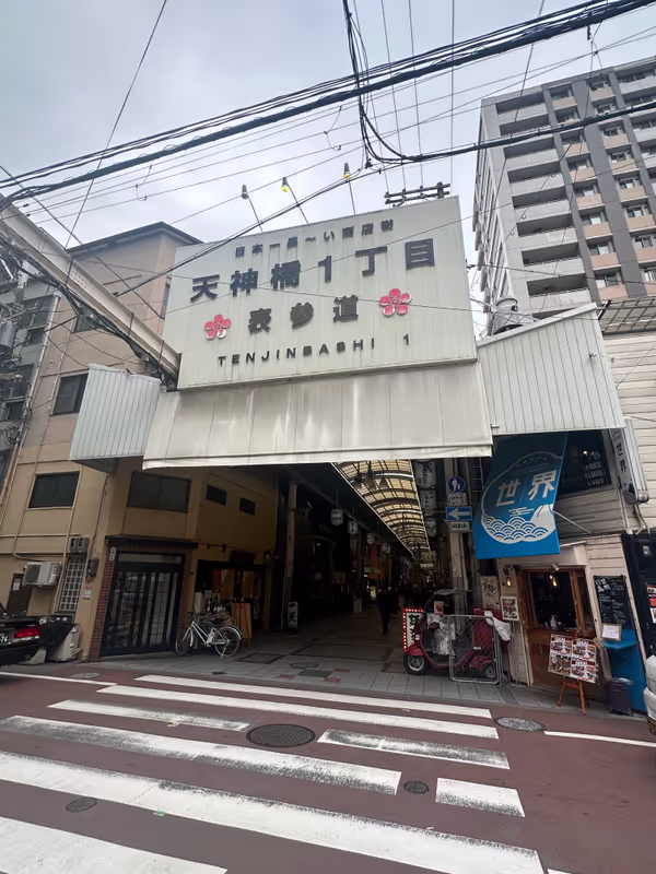 Osaka Private Tour - 