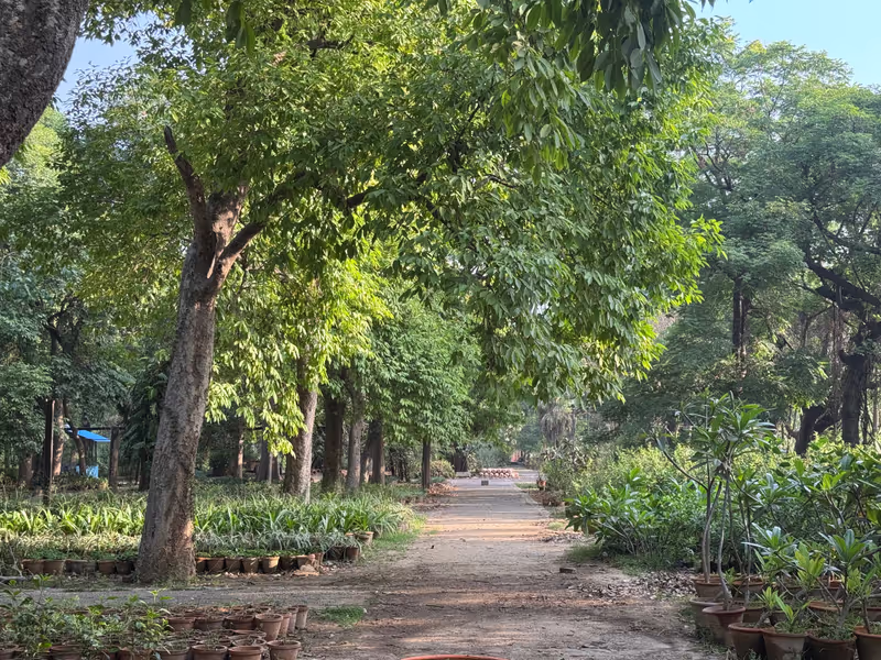 Delhi Private Tour - Walk into wilderness